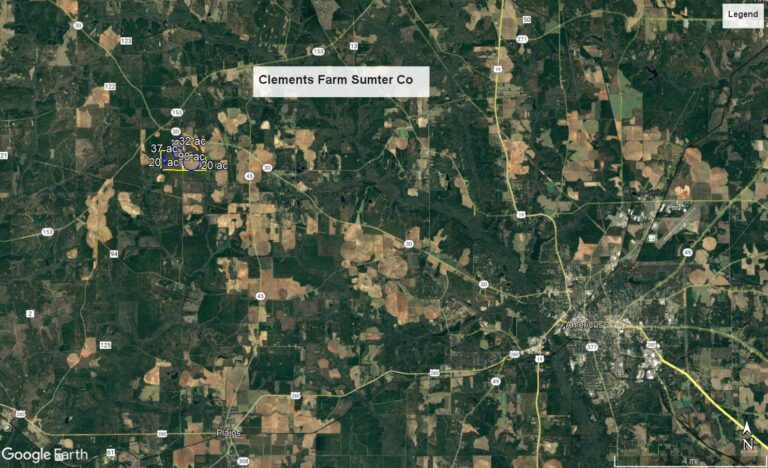 Clements farm Sumter location map 768x468